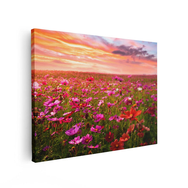 Canvas Schilderij Vooraanzicht Kleurrijke Kosmos Bloemenveld