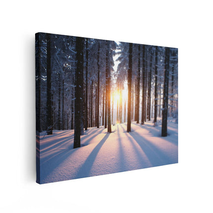 Canvas Schilderij Vooraanzicht Bos Met Sneeuw Tijdens De Zonsondergang