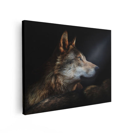 Canvas Schilderij Vooraanzicht Wolvenkop Met Een Zonnestraal - Wolf