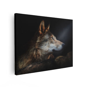 Canvas Schilderij Vooraanzicht Wolvenkop Met Een Zonnestraal - Wolf
