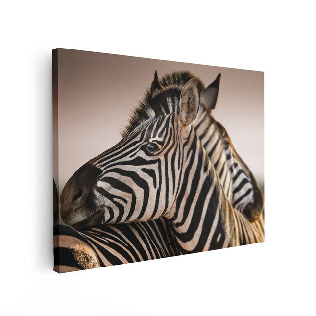 Canvas Schilderij Vooraanzicht Twee Knuffelende Zebra's 
