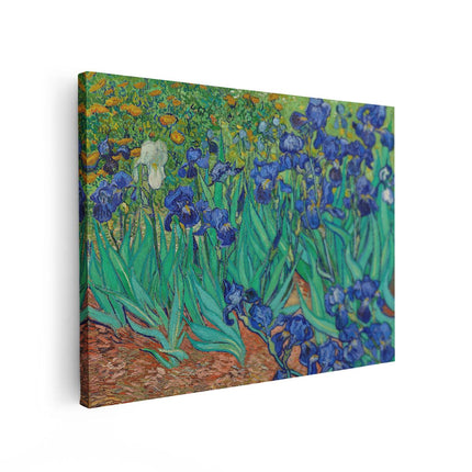 Canvas Schilderij Vooraanzicht Irissen - Vincent van Gogh