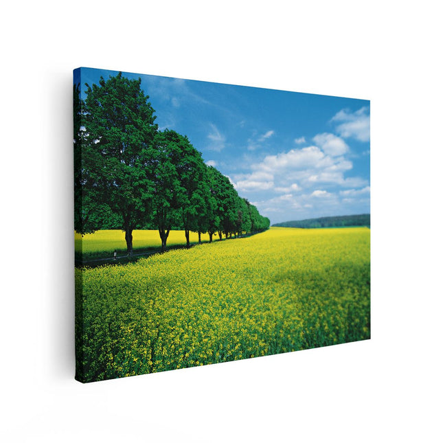 Canvas Schilderij Vooraanzicht Weide Landschap Natuur
