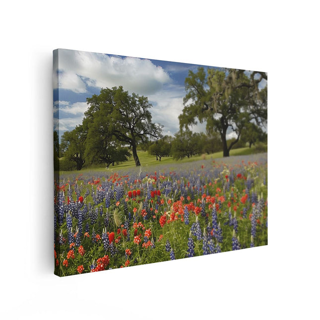 Canvas Schilderij Vooraanzicht Veld met Wilde Bloemen in Texas