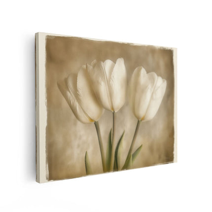 Canvas Schilderij Vooraanzicht Drie Witte Tulpen op een Beige Achtergrond