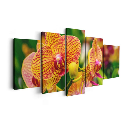 Canvas schilderij vijfluik geel rode orchidee bloemen