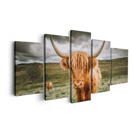 Canvas schilderij vijfluik schotse hooglanders in de wei - kleur