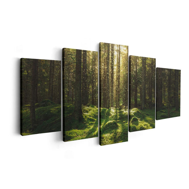 Canvas schilderij vijfluik bos met groen mos op de grond