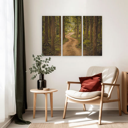 Drieluik schilderij interieur Pad In Het Bos Met Bomen