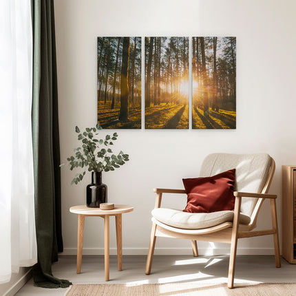 Drieluik schilderij interieur Zonsopkomst In Het Bos Tussen De Bomen