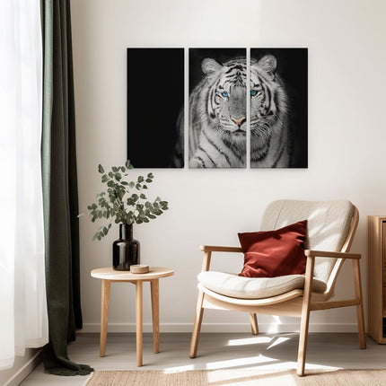 Drieluik schilderij interieur Tijger Met Blauwe Ogen - Zwart Wit