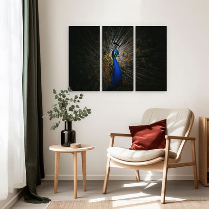 Drieluik schilderij interieur Blauwe Pauw Met Grote Veren