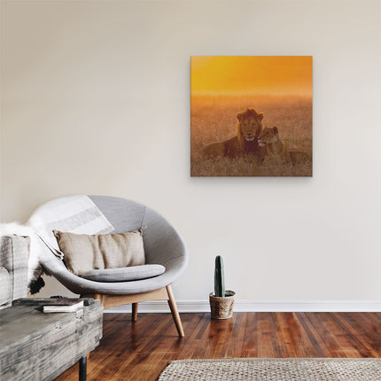 Canvas schilderij kamer Leeuw En Leeuwin Tijdens Zonsondergang