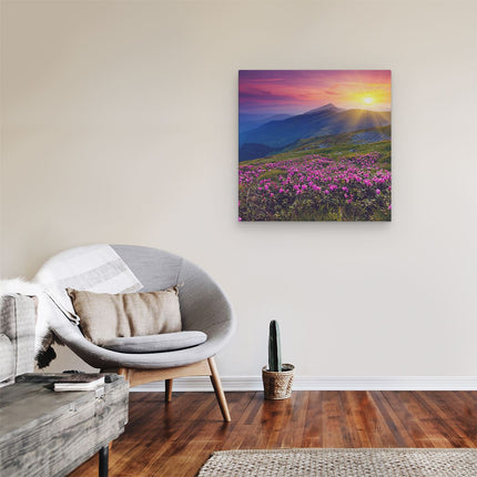 Canvas schilderij kamer Roze Rhododendron Bloemenveld - Bergen