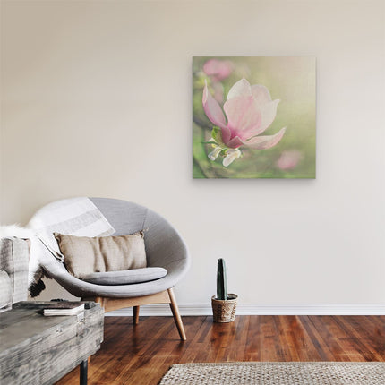 Canvas schilderij kamer Roze Magnolia Bloem 