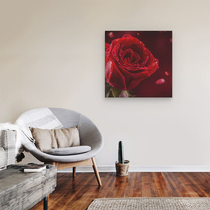 Canvas schilderij kamer Romantische Rode Roos