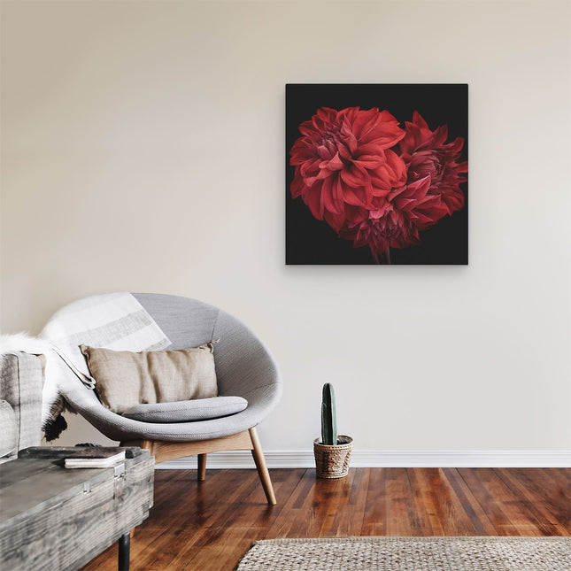 Canvas schilderij kamer Rode Dahlia Bloemen