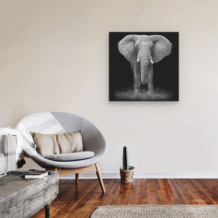 Canvas schilderij kamer Olifant - Zwart Wit