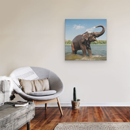 Canvas schilderij kamer Vrolijke Olifant In Het Water 