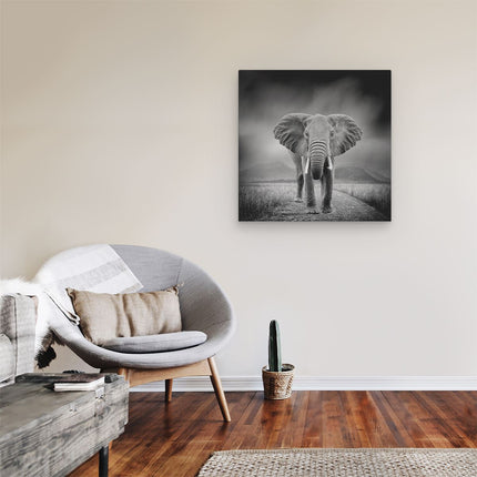 Canvas schilderij kamer Olifant - Zwart Wit