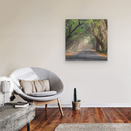 Canvas schilderij kamer Weg Omringd Met Bomen