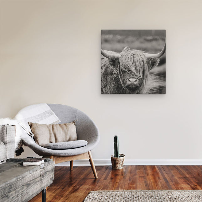Canvas schilderij kamer Schotse Hooglander Koe - Zwart Wit