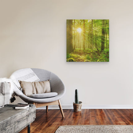 Canvas schilderij kamer Groen Bos Met Schijnende Zonnestralen