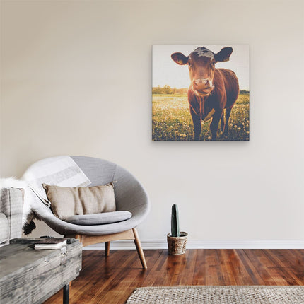 Canvas schilderij kamer Koe In De Wei Tijdens Zonsondergang