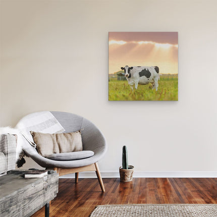 Canvas schilderij kamer Zwart Wit Koe In De Wei Bij Zonsopkomst