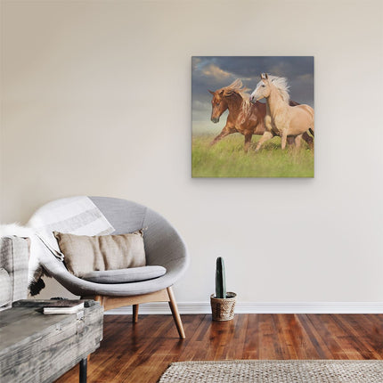 Canvas schilderij kamer Bruin En Wit Paard In De Wei