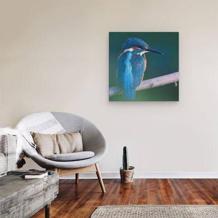 Canvas schilderij kamer Blauwe IJsvogel Op Een Tak