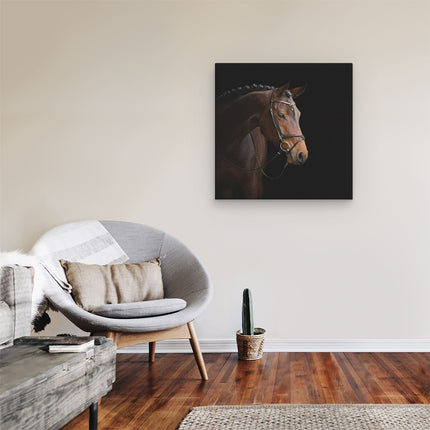 Canvas schilderij kamer Bruin Paard Op Een Zwart Achtergrond