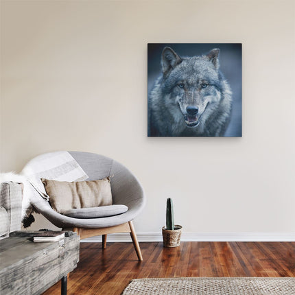 Canvas schilderij kamer Wolvenkop Met Blauwe Ogen - Wolf