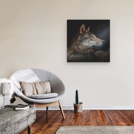 Canvas schilderij kamer Wolvenkop Met Een Zonnestraal - Wolf