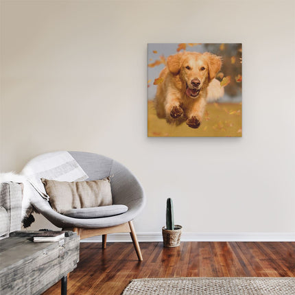 Canvas schilderij kamer Golden Retriever Hond In De Herfst Bladeren