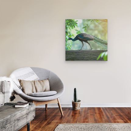Canvas schilderij kamer Pauw Loopt Op Een Tak In De Natuur