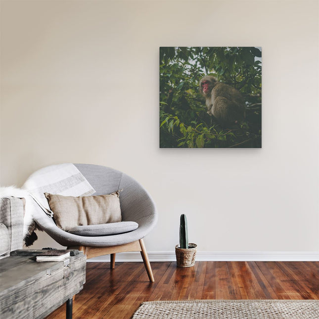 Canvas schilderij kamer Aap In De Boom Tussen De Bladeren