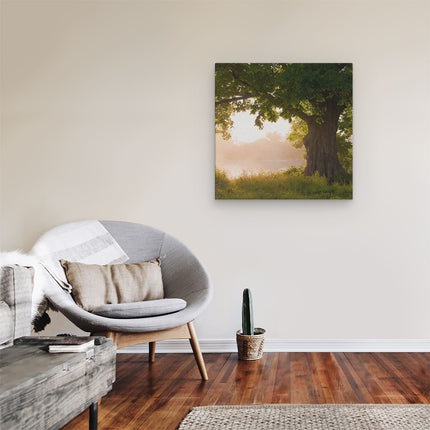 Canvas schilderij kamer Eikenboom Aan Het Water Met Volle Bladeren