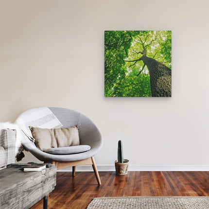 Canvas schilderij kamer Boom In Het Bos Met Fel Groene Bladeren