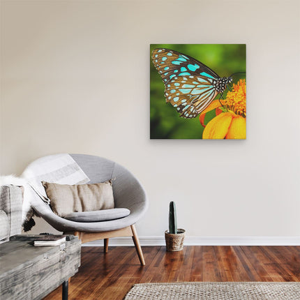 Canvas schilderij kamer Blauwe Vlinder Bij Een Oranje Bloem