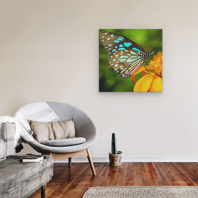 Canvas schilderij kamer Blauwe Vlinder Bij Een Oranje Bloem