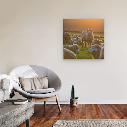 Canvas schilderij kamer Kudde Schapen bij Zonsondergang