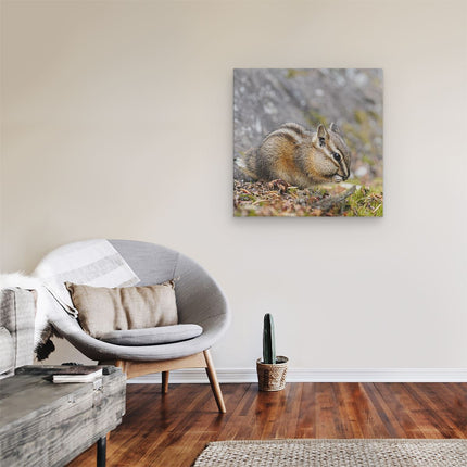 Canvas schilderij kamer Eekhoorn op het Gras tussen de Bladeren