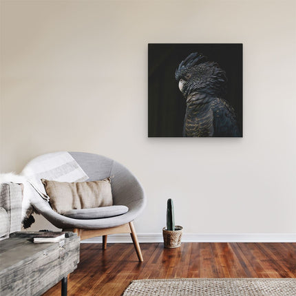 Canvas schilderij kamer Zwarte Kaketoe