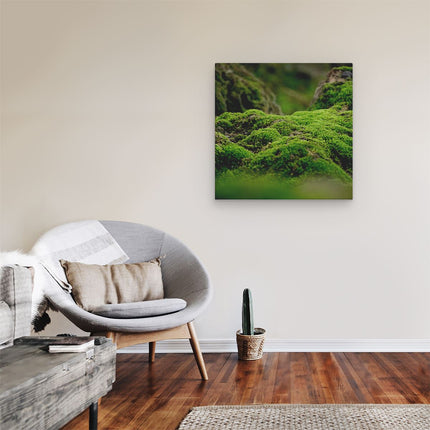 Canvas schilderij kamer Groen Mos