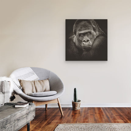 Canvas schilderij kamer Gorilla - Zwart Wit