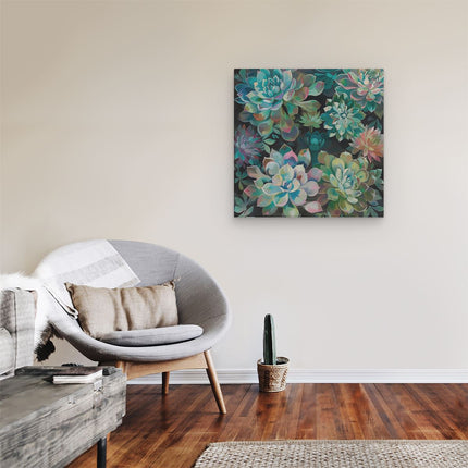 Canvas schilderij kamer Kleurrijke Vetplanten op een Zwarte Achtergrond