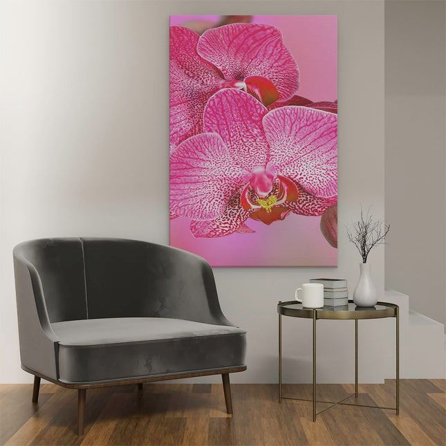 Canvas schilderij interieur Roze Orchidee Bloemen