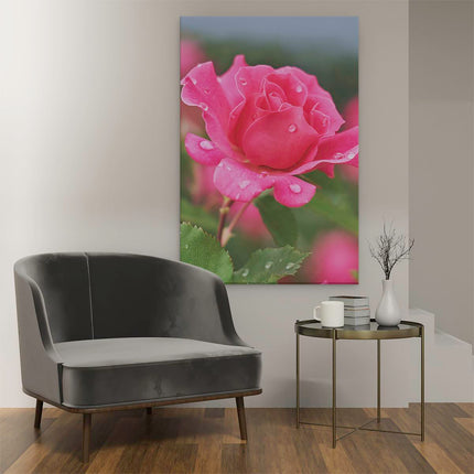 Canvas schilderij interieur Roze Roos Met Waterdruppels