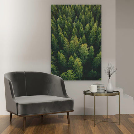 Canvas schilderij interieur Bos Met Bomen Vanaf Boven